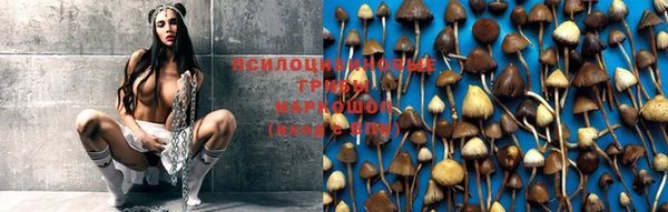 гашишное масло Луховицы